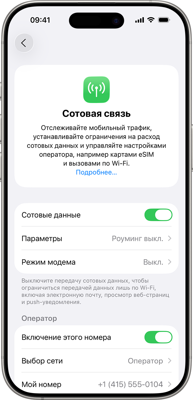 iPhone — раздел Сотовая связь в настройках